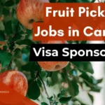 Fruit Picking Jobs in Canada for International Workers